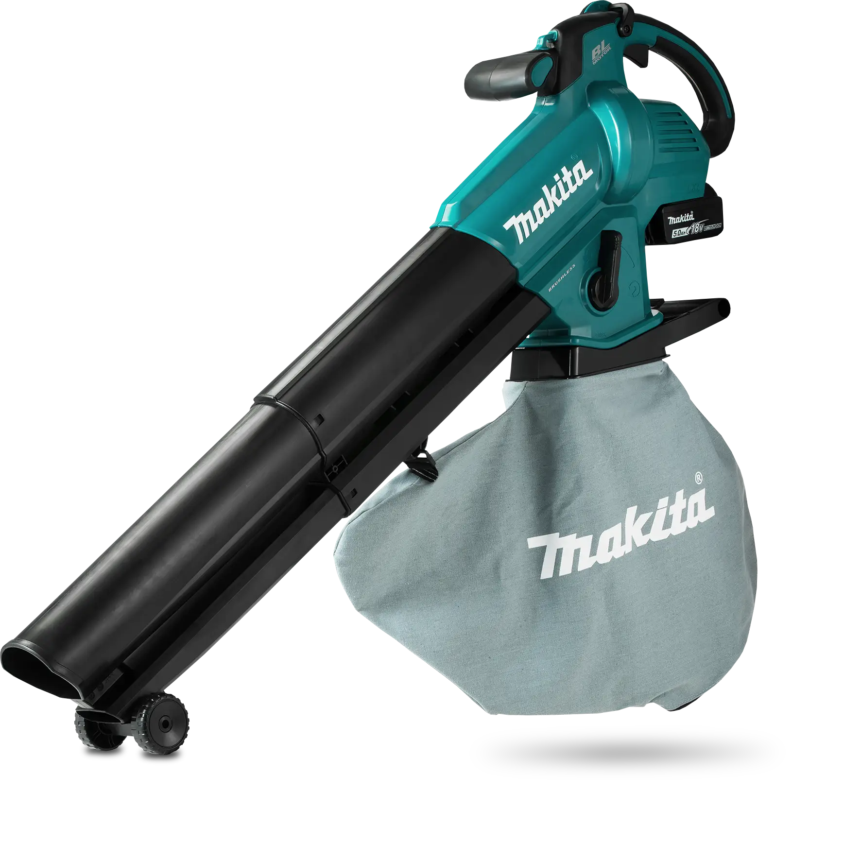 Imagen Principal